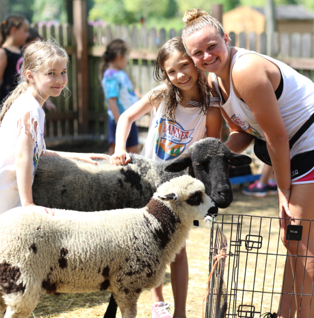 Campers at the petting zoo petting sheep