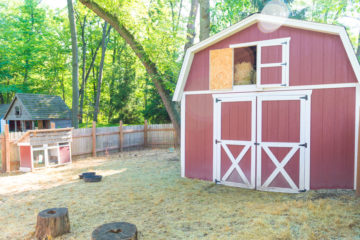 Barn and animal pen