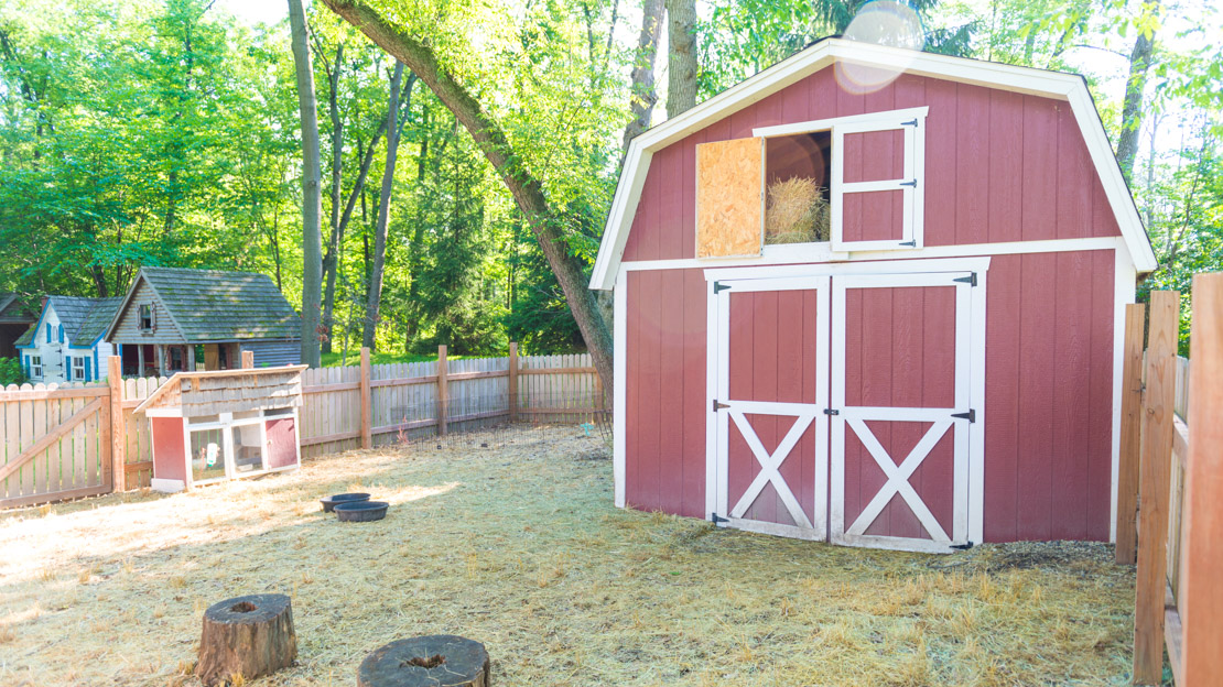 Barn and animal pen