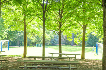 Picnic tables