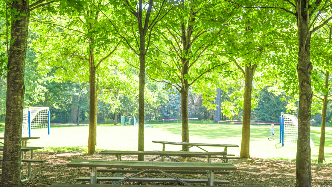 Picnic tables