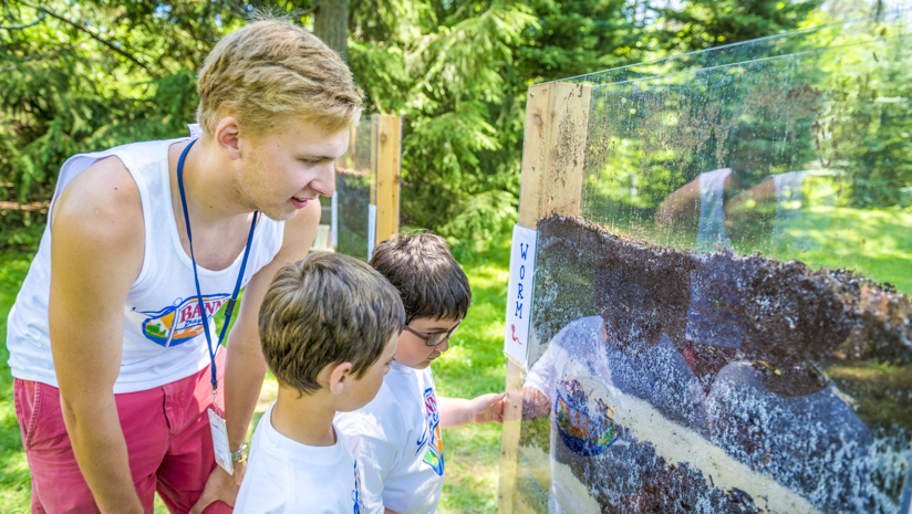 Male staff member showing two boy campers worms