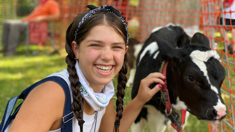 Older girl camper petting a baby cow